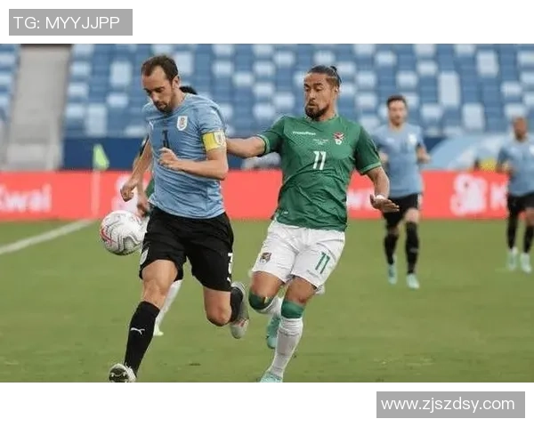 澳洲与秘鲁上半场比赛中主队犯规次数对比分析 澳洲与秘鲁上半场比赛中主队犯规次数对比分析