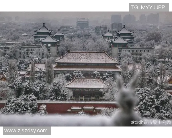 北京迎来初雪,本年的雪季行情会好吗? 北京迎来初雪,本年的雪季行情会好吗?